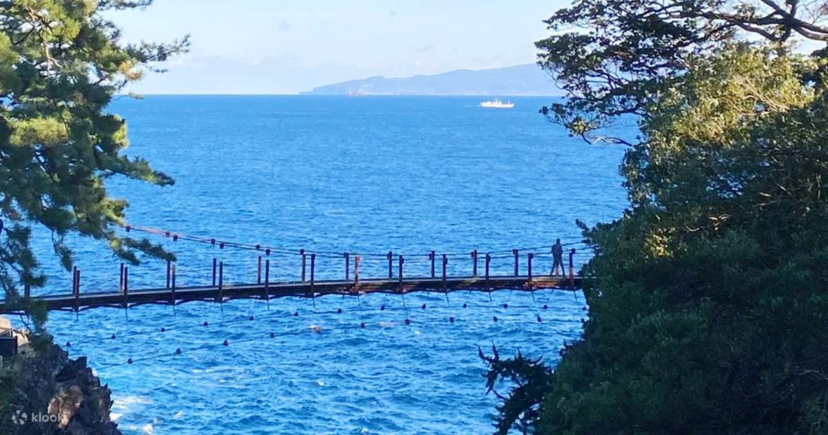 Small Group of 9] Izu Mount Omuro/Cactus Park & Ocean View Train